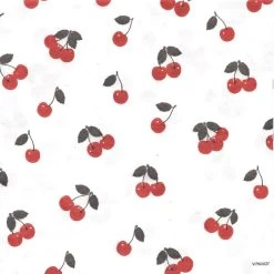 Casse Noix Crustacés OXO SC