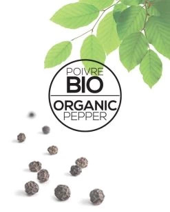 CASTELINE Série 3 Casseroles Inox Amovible MULTIPLY Cristel + 1 Poignée Zénith D16 à 20 -Cuisine Articles Magasin casteline serie 3 casseroles inox amovible multiply cristel 1 poignee zenith d16 a 20 6