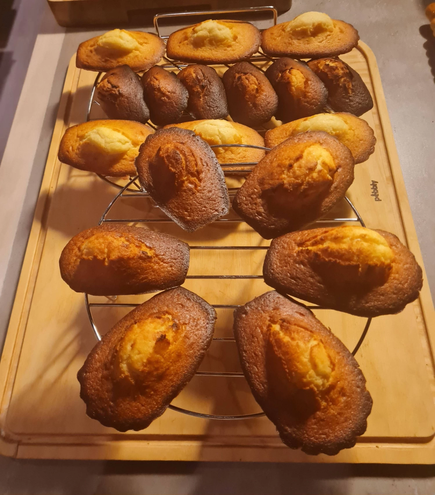 LE TUBE Kit Biscuit Sablé Pour Piston à Pression De BUYER 13 Disques Avec 2 Couvercles 3 LE TUBE Kit Biscuit Sablé Pour Piston à Pression De BUYER 13 Disques Avec 2 Couvercles