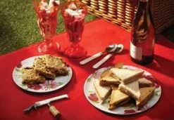 NIVONA SERIE 6 Machine à Café Expresso Automatique Avec Broyeur NICR 695 Cafe Romatica Titane