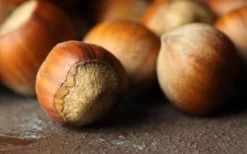 Pèse Sirop Densimètre 1100g à 1400g